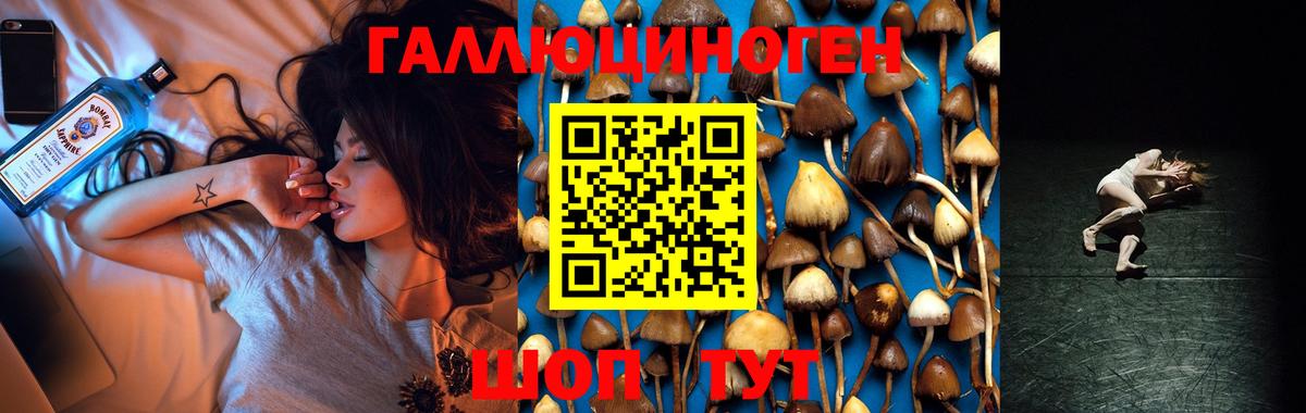 Красный Сулин  Псилоцибиновые грибы GOLDEN TEACHER  Вход с VPN  Галлюциногенные грибы Cubensis 